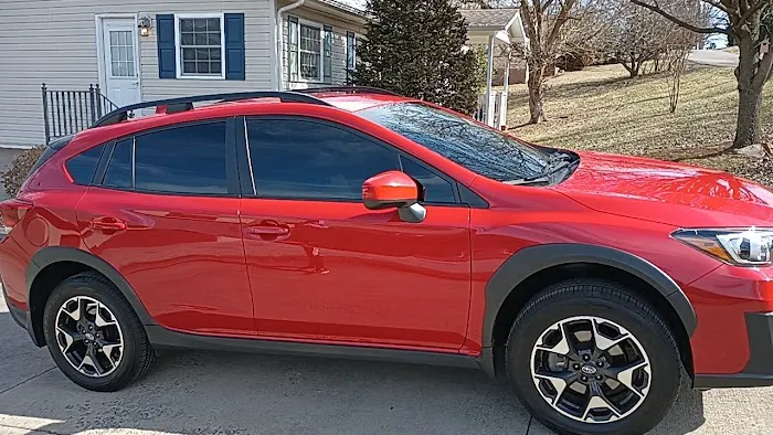 Pro Tint 5