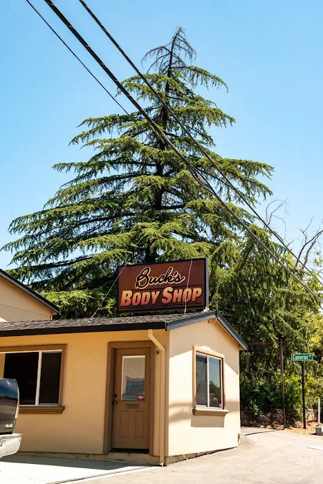 Buck's Body Shop 2