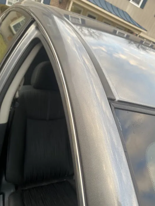 Dent Rx 5