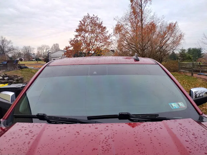 Madd Tints 0
