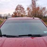 Madd Tints