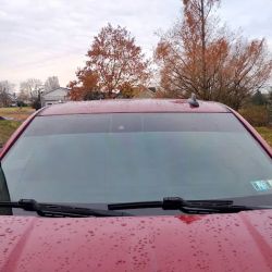 Madd Tints ico