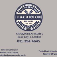 Precision Import Services