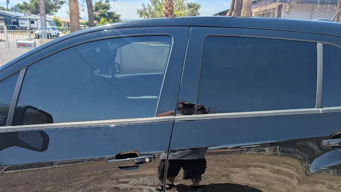 Coyote Window Tint 1