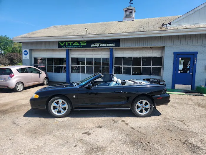 Vitas Automotive 1