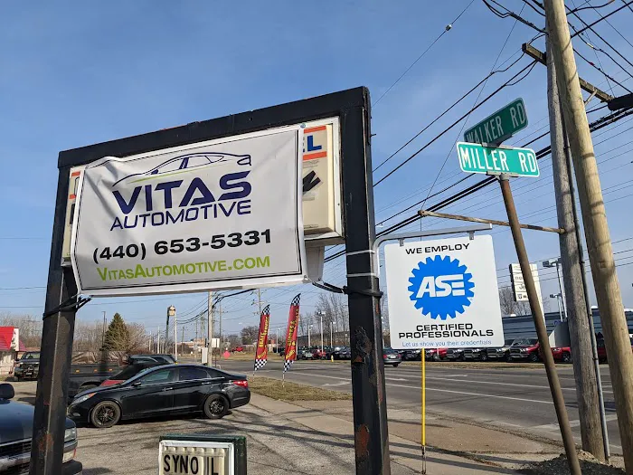 Vitas Automotive 5