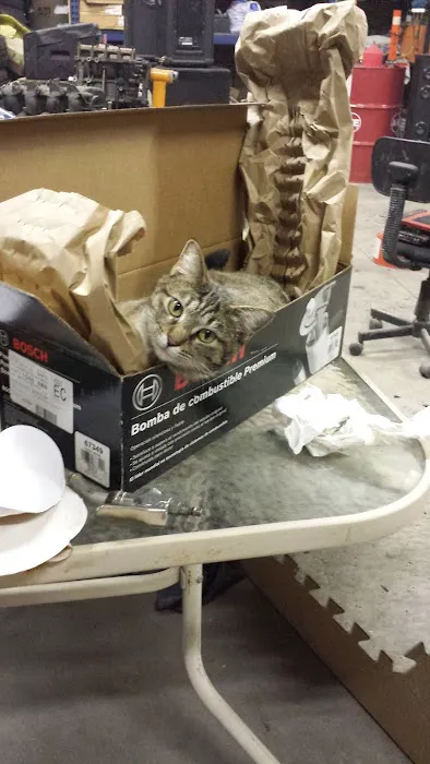 M & W Auto Repair 0