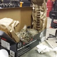M & W Auto Repair