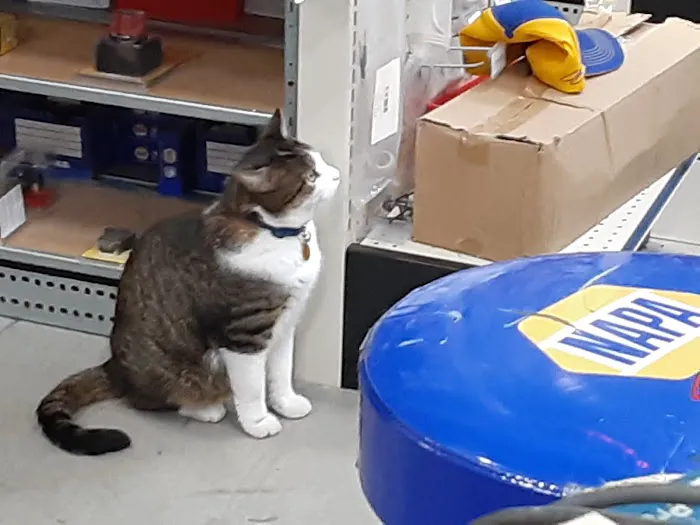 NAPA Auto Parts - Harrison Auto Parts 0