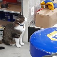 NAPA Auto Parts - Harrison Auto Parts