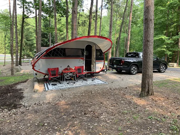All Pro Adventures 5