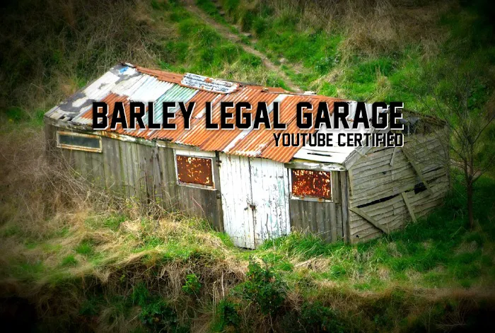 Barely Legal Garage 1