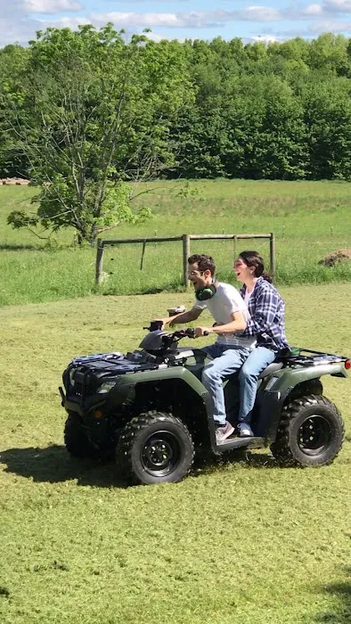 Beck's Powersports, LLC (UTV, SXS, ATV & Riding Mower Repair) 0