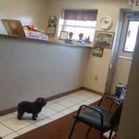 Scottie's Auto Repair, Inc.
