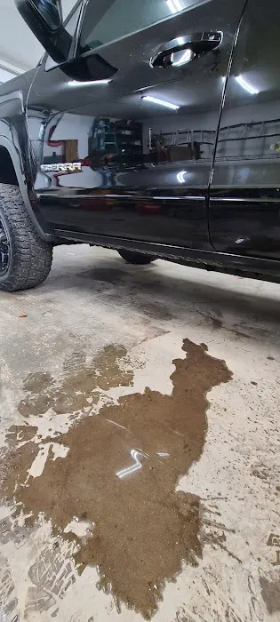 Mustang Collision 0