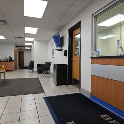 Brown Honda Express Service ico