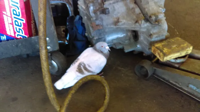 Affordable Auto Services LLC 4