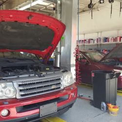 Allen Park Lube Center ico