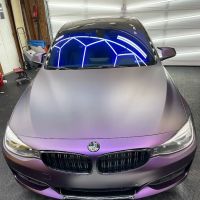 Detroit tintz & wrapz llc