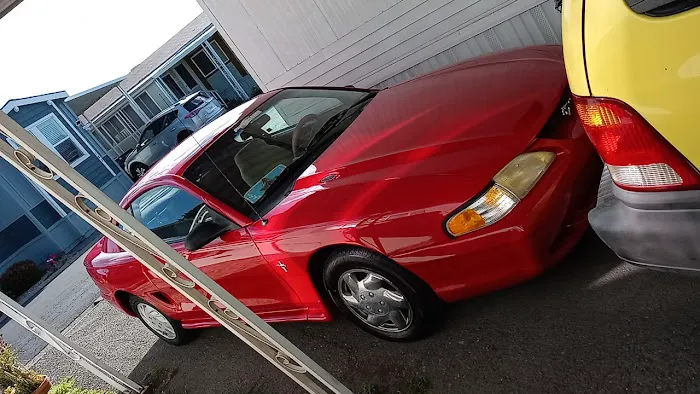 Affordable Auto Body & Paint 7
