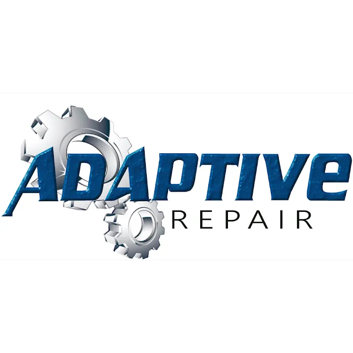 Adaptive Repair 2