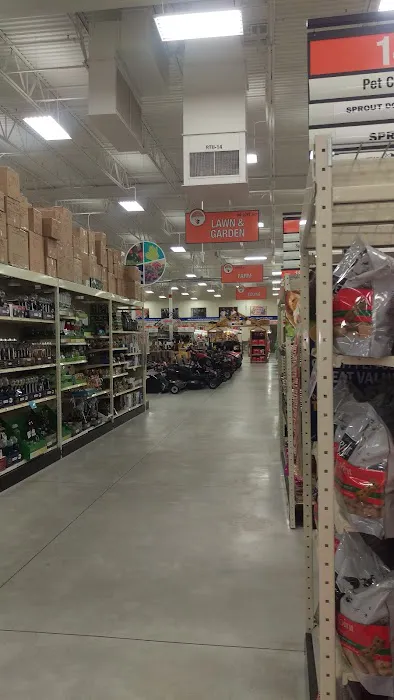 Fleet Farm Auto Service Center 2