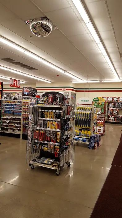 O'Reilly Auto Parts 5