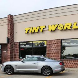 Tint World ico