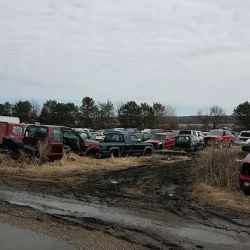 S & S Auto Salvage ico