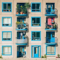 Foco Window Tint ico