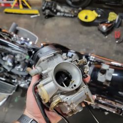 FiggTree Motorcycle Shop ico