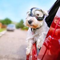 AAMCO Transmissions & Total Car Care