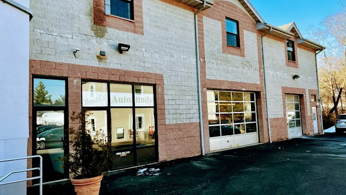 Bucci's Auto Body 3