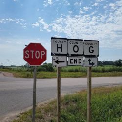 Hog Corners Customs ico