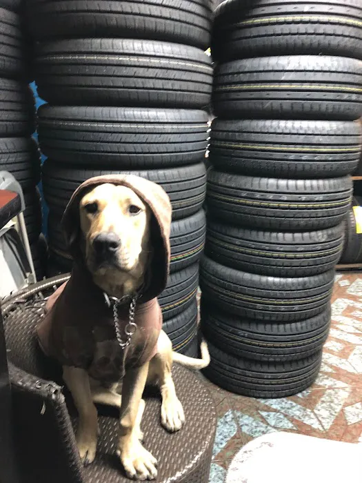 Happy Tire Shop, Inc 1