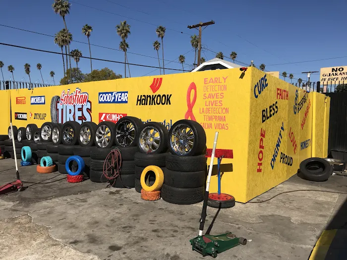 Sebastian Tires 7