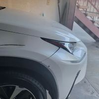 Bravo Collision