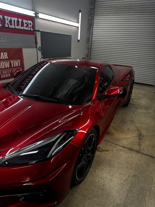 LITVINOV TINT SHOP 5