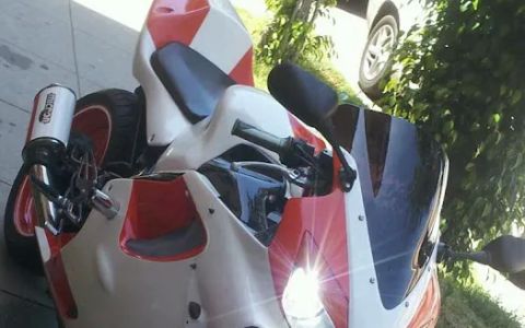 Las Palmas Auto Repair