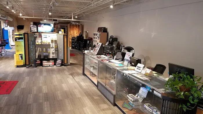Cartunes Atlanta 3