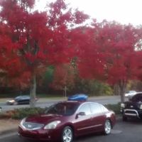 ASU Euro Car
