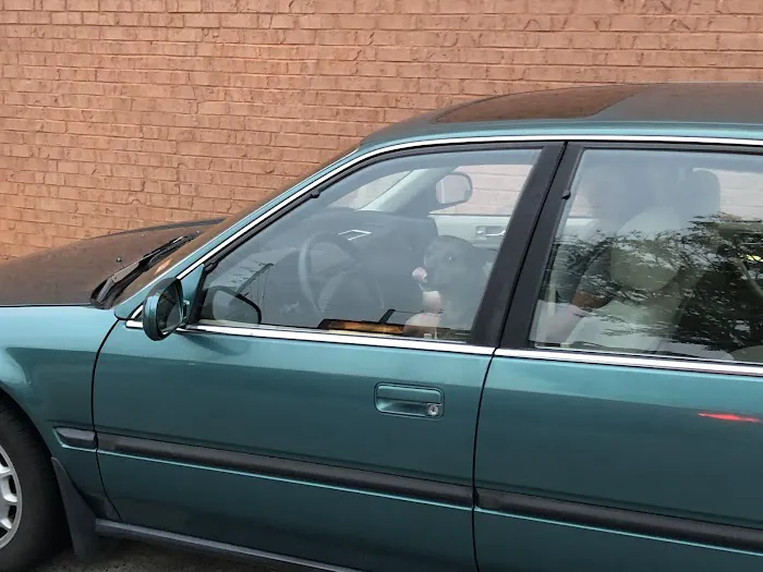 D&M Automotive 0