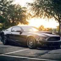 Mobile Windshield Replacement N Auto Glass Repair