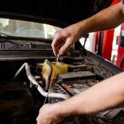 Greulich's Automotive Repair ico