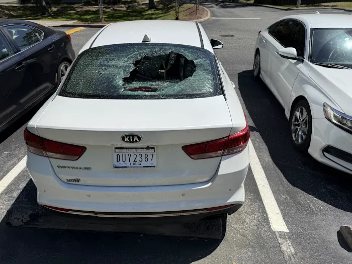 New World Auto Glass 6