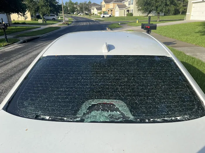 New World Auto Glass 0