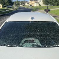 New World Auto Glass