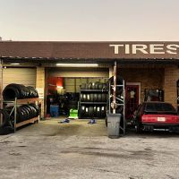 TIRE SHARK