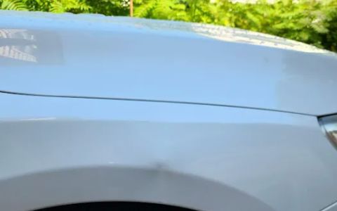 Paintless Dent Removal LLC