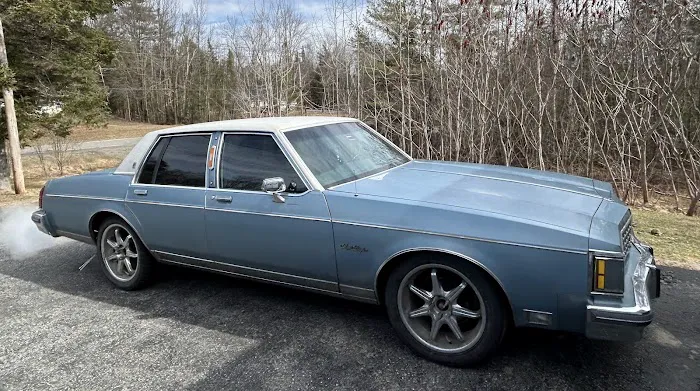 207 Tint 5